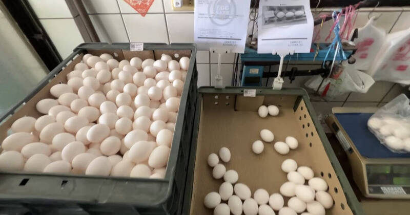 換蛋退款都可以! 梧棲「龍忠蛋行」:現在的蛋都是安全的