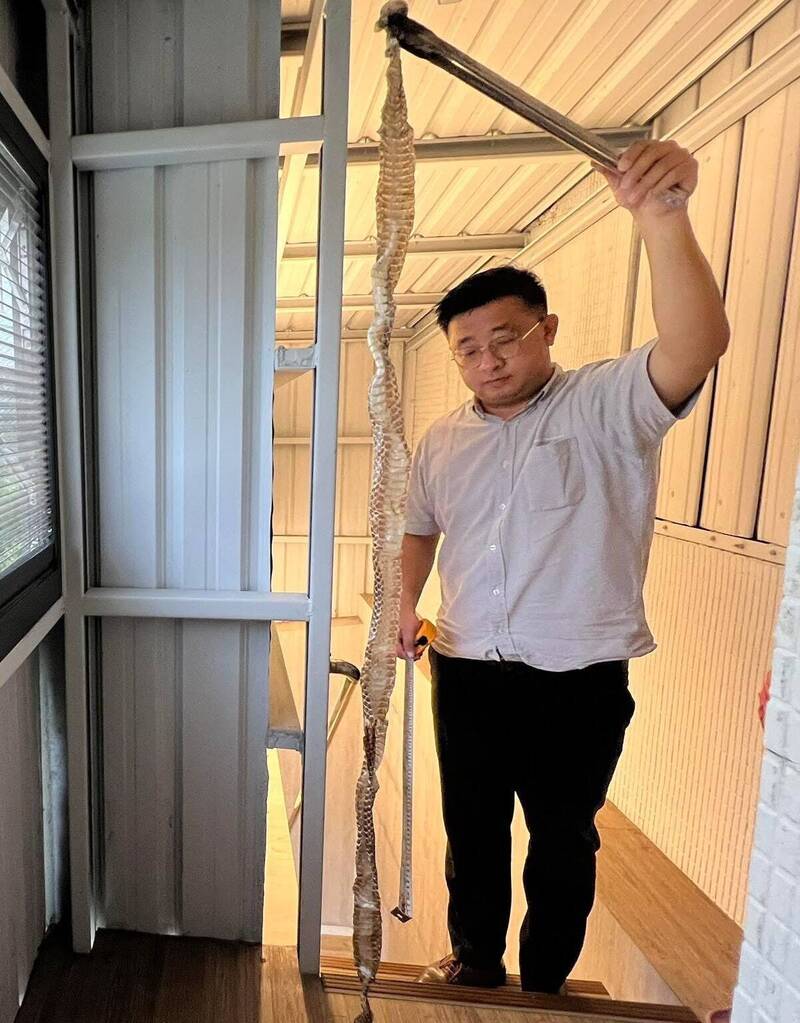 辦公室有蛇！長1米6脫皮後不知「裸奔」去哪兒 宜蘭某公司員工怕怕