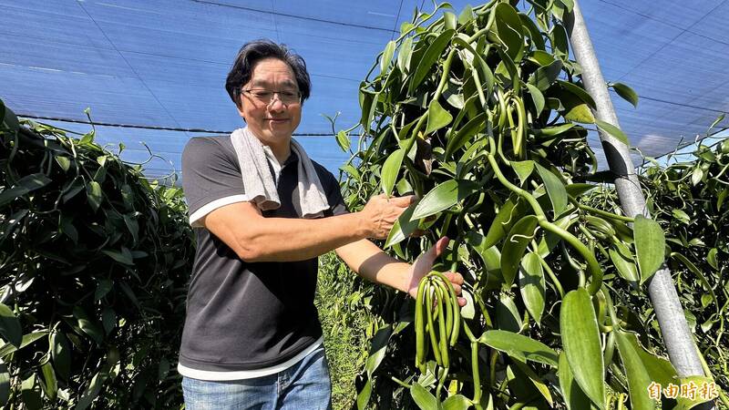 台南玉井香草職人開發創意料理  盼帶動產業