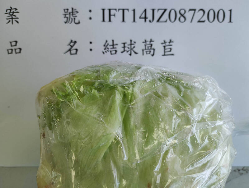 馬來西亞結球萵苣芬普尼殘留超標 邊境退運銷毀9680公斤