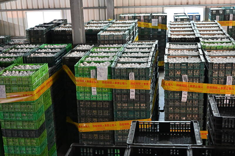 驚!彰化「文雅」芬普尼毒蛋不僅流入台中 這縣市1萬顆恐全吃下肚