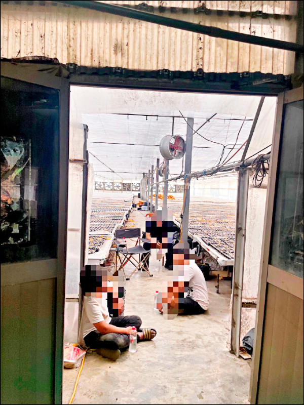 詐團囚禁3豬仔狂洗錢 警攻堅救出