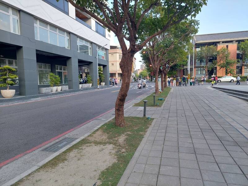 南美館2館原有的行道樹植穴。（莊勝凱提供）