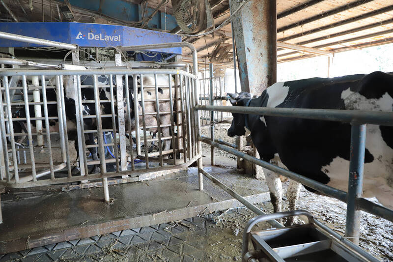 全國大學首座 中興大學畜產試驗場獲獲動物福利標章認證