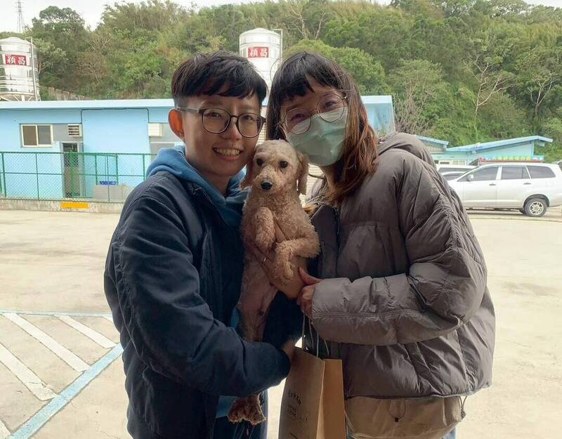 苗栗人人犬舍首波85犬開放認養 52隻毛小孩找到家