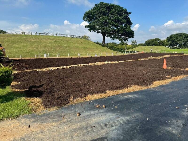 台中樹枝去哪？ 破碎2691公噸變「木屑綠金」 用途超出想像