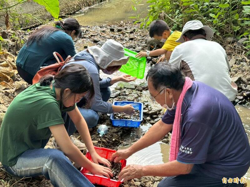 左鎮化石園區化石知識家活動 帶你探索遠古海洋魅力