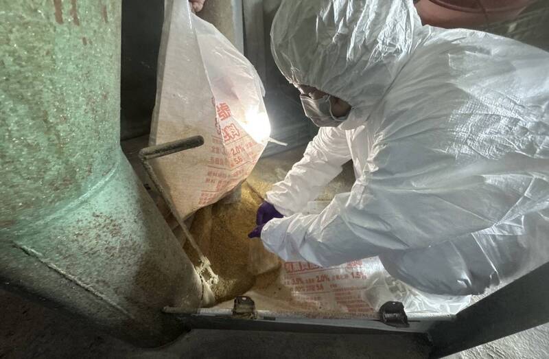 彰化啟動蛋雞場芬普尼檢測 首波15家高風險場最快明公布結果