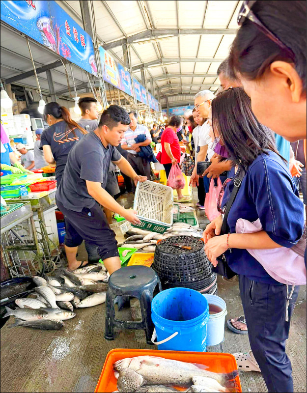 12天捕7400尾／狂撈烏金2百萬 年終獎金先入帳