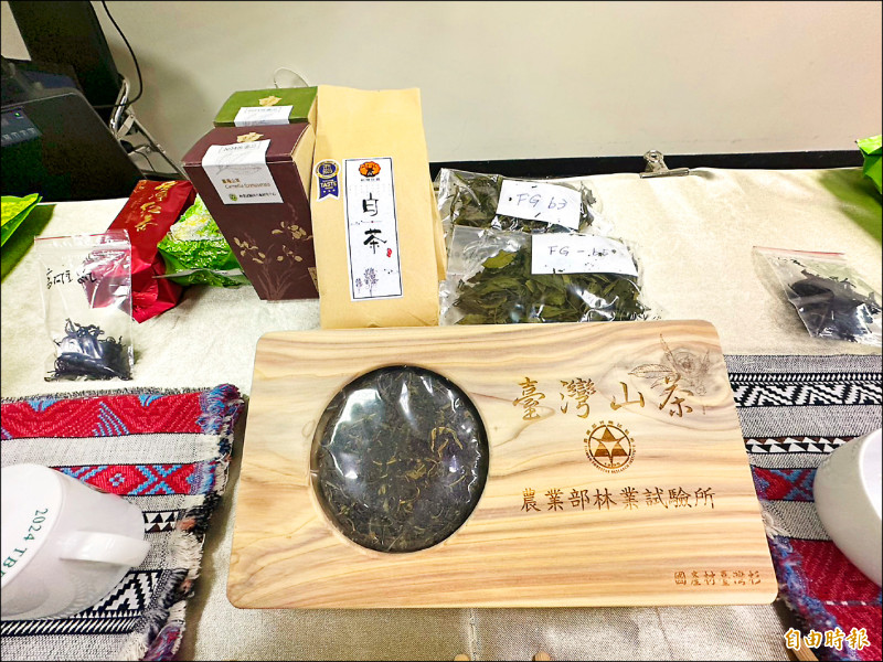 台灣山茶 有松露香抗氧化