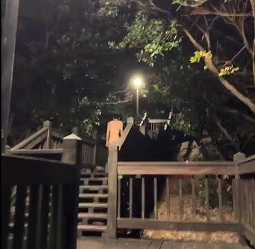 南港公園驚見「野裸族」聚會 議員憂成治安死角