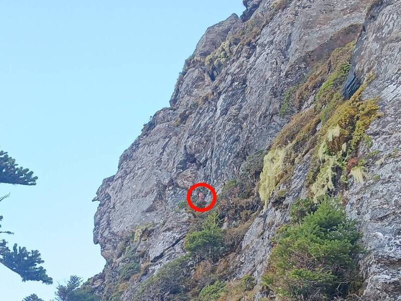 爬玉山關山線離奇卡峭壁 山友獨走「山羊路」原因曝