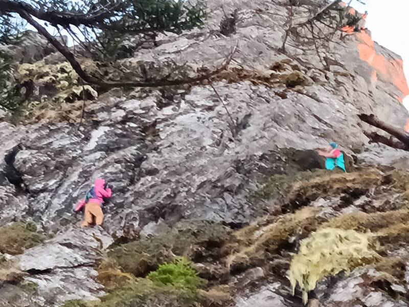 玉山南部园区关山路线，近日有女山友（左）脱队独行，离奇卡在峭壁受困，经园区人员（右）以绳索做好确保，才顺利将女山友带回步道。（玉管处提供）