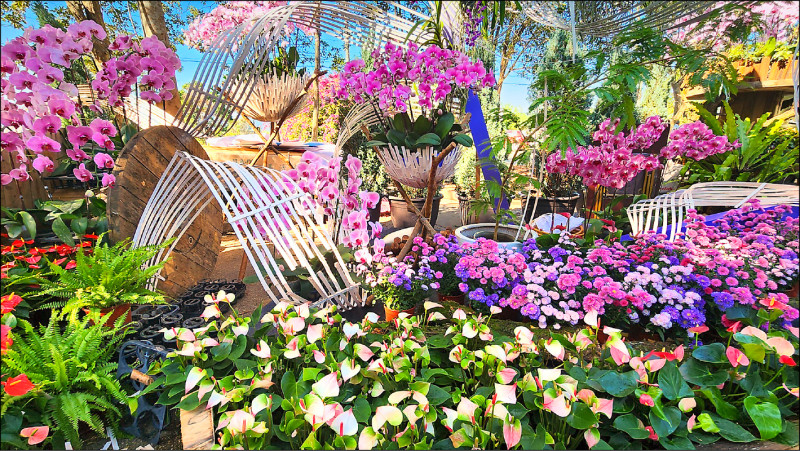 埔里花卉展明登場 2大展區迎賓