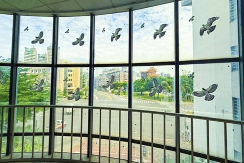 南市東南地政所耐震補強兼救鳥命 先「貼圖」大老鷹