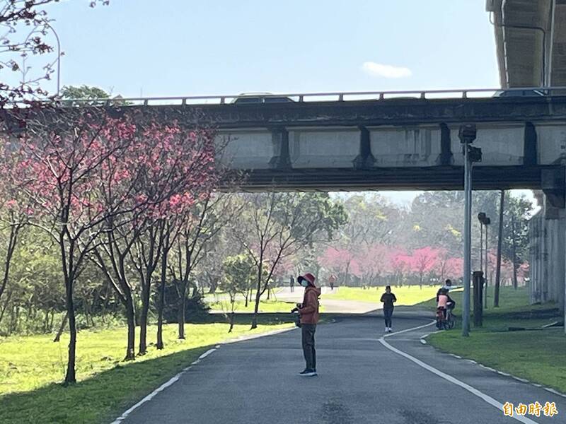 民代集結民力催生！ 首屆左岸竹東櫻花馬明年3/1誕生