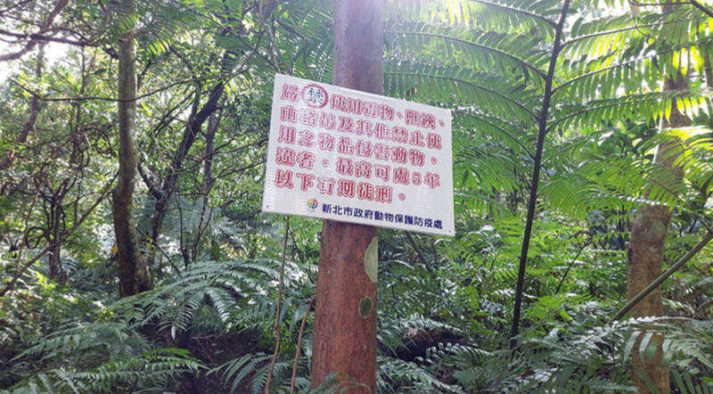 捕獸夾散落山區危害動物 新北議員籲跟民團合作搜查