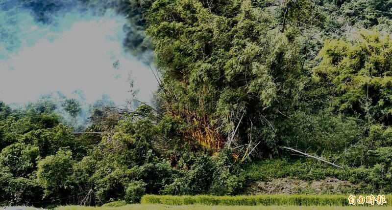 农民驱猴却不小心火烧竹林，现场发出连续爆裂声。（记者刘人玮摄）