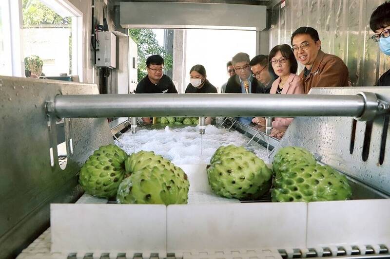採收後30分鐘可出貨！ 新型貨櫃式水果清洗系統亮相