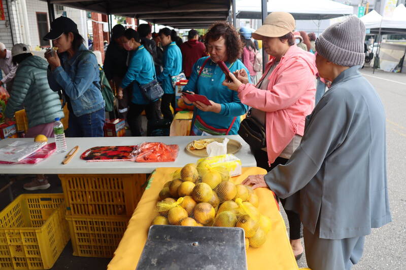 臍橙節活動開始前就賣光 成功農會：颱風影響量少價高