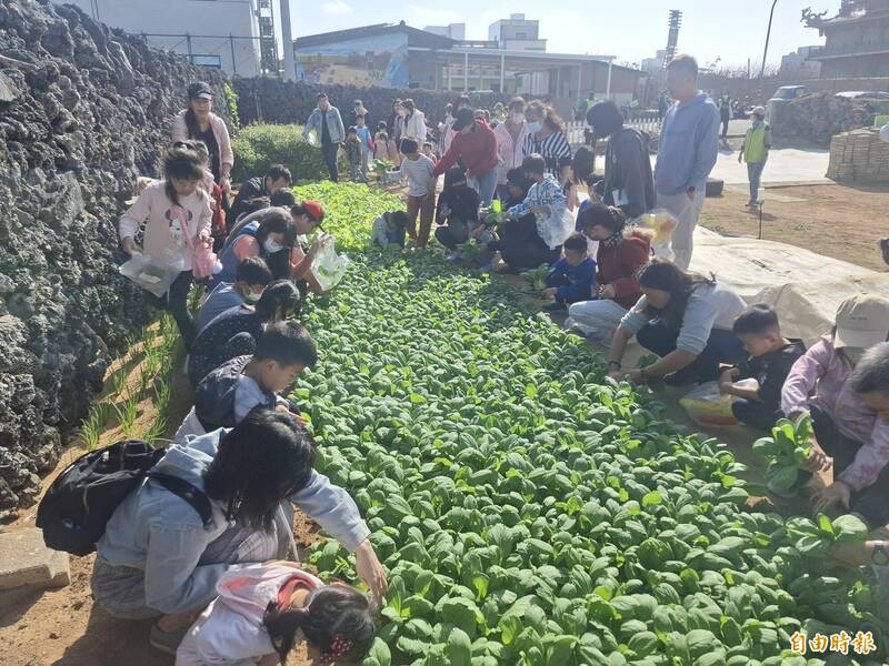 澎湖親子遊田間 採青菜、體驗石磨豆花、製作蔬果造型氣球