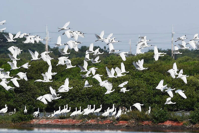《TAIPEI TIMES》 MOU for new bird illness warning system signed