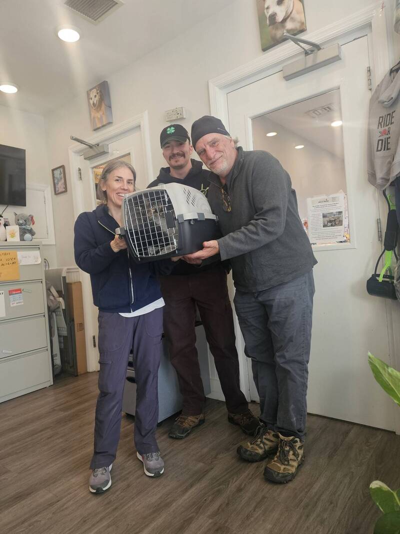 愛貓失蹤10年奇蹟尋回！主人堅持「這舉動」成關鍵