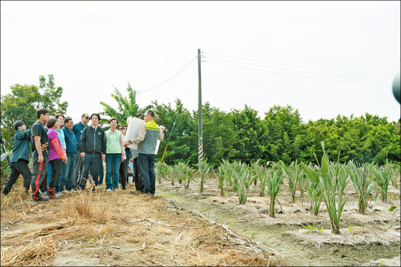 公地放領 濁水溪農民：終可合法擁有土地