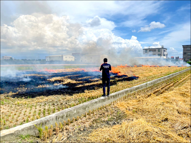 彰化天眼監控燒稻草 取締告發變多