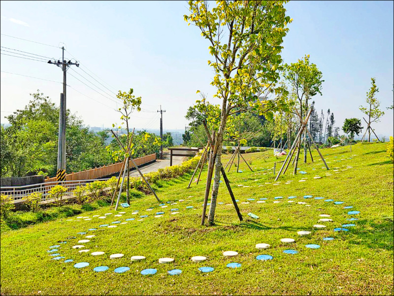 1棵樹埋逾20個先人 嘉市樹葬挨批不友善