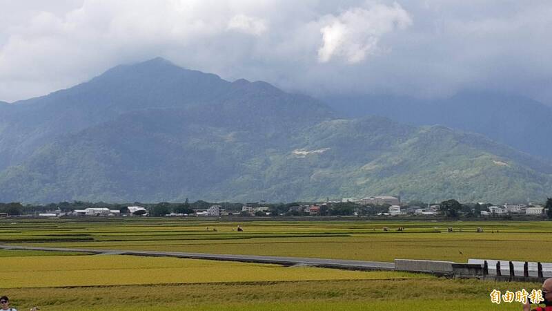 台東農改場推廣池上稻田友善耕作 打造綠色生態廊道串連兩大山脈