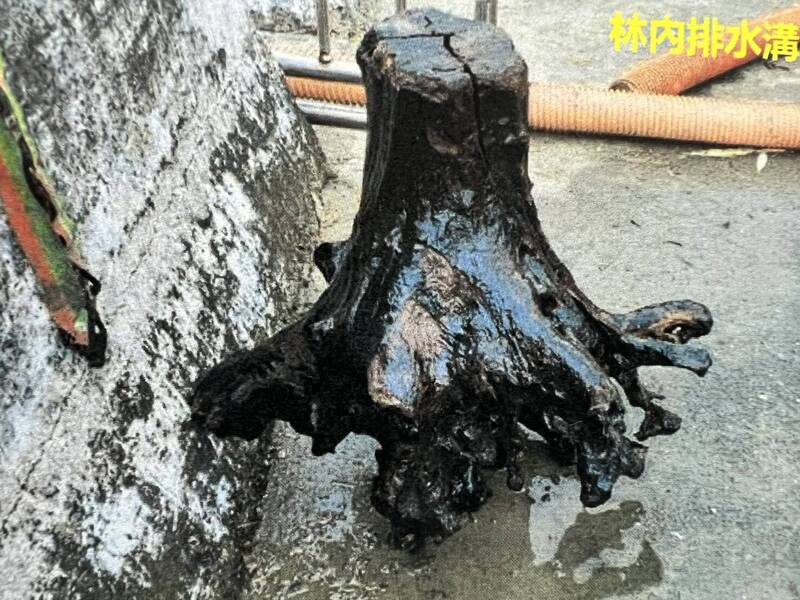 雲林清溝1200公里 驚見油垢牆、水泥塊、巨大樹頭