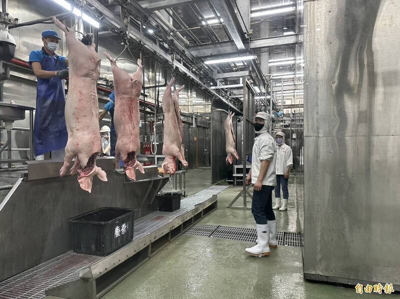 防中國病豬肉侵台 畜牧司籲認明國產屠宰合格標誌及溯源碼