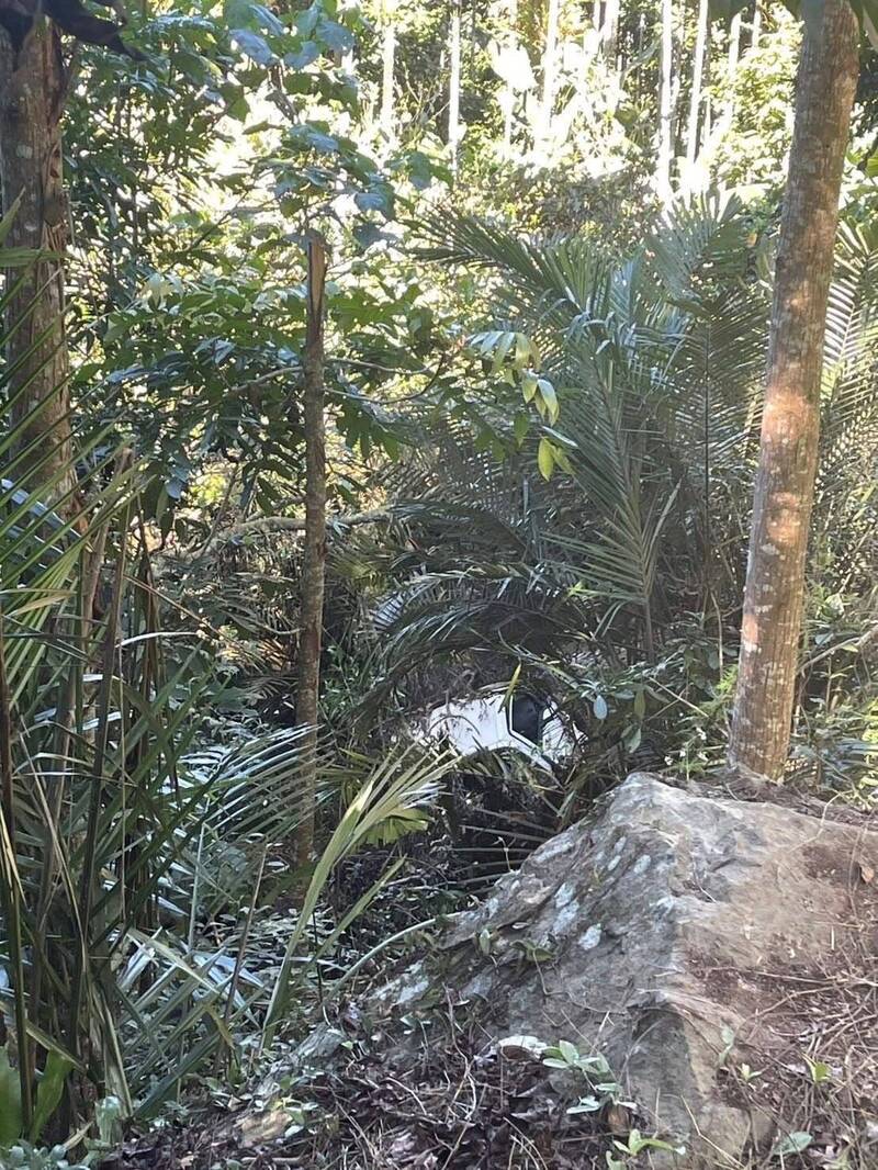 小货车坠谷处，上方都是树林遮蔽。（民众提供）