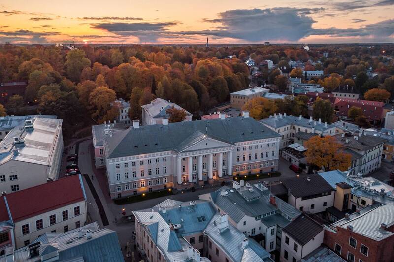 萬年前的口香糖！考古學家發現石器時代少女嚼過樺焦油