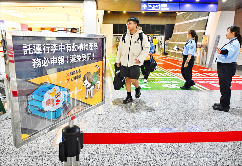 邊境嚴查 中國違規豬肉占多數