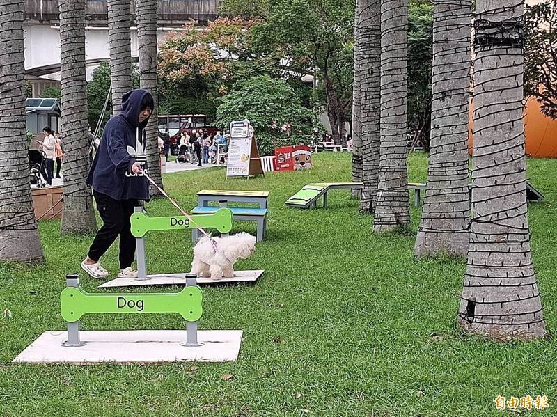 新北「毛寶貝耶誕趴」11/29登場 寵物遊具、音樂會、旅遊路線一次玩滿