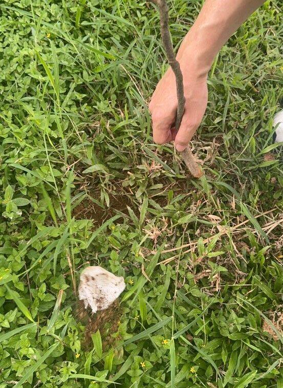 黄姓嫌犯为躲避追缉，将毒邮票埋藏在公园，再通知买家前往拿取毒品，制造断点。（记者陈建志翻摄）