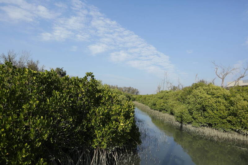 台南雙春濱海遊憩區完成階段修繕 明年第2季全面開放