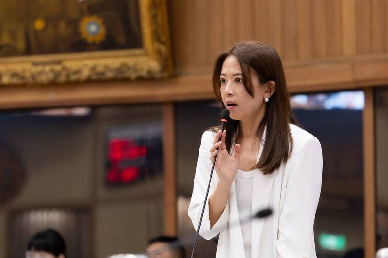 綠提「七大罪狀」批台灣民主最大破壞者 藍營反控毀棄民主