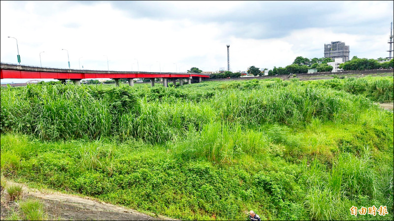 南投貓羅溪易淹 2區段優先疏濬