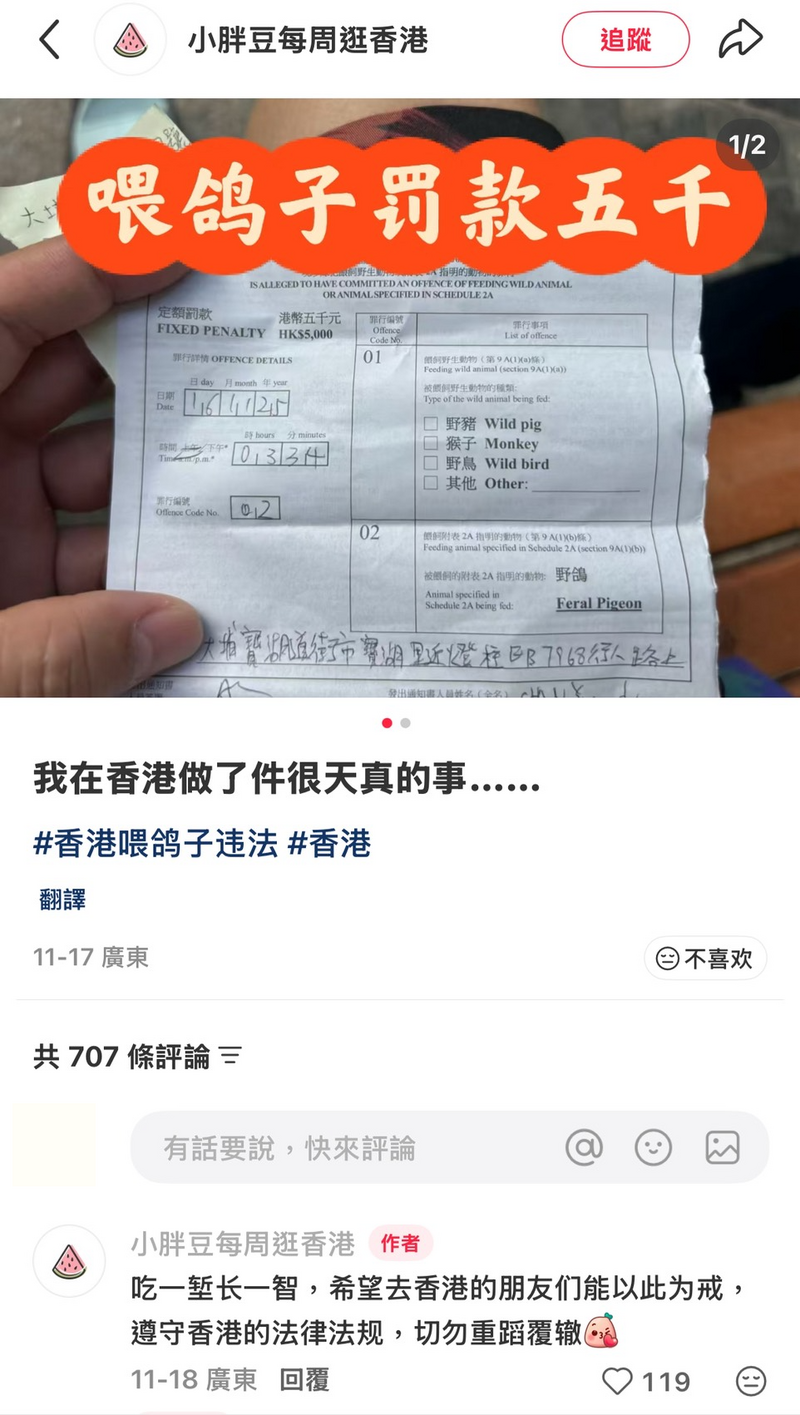 香港餵鴿子挨罰2萬！她傻眼喊「中國可以啊」 網冷嗆：基本常識- 國際- 自由時報電子報