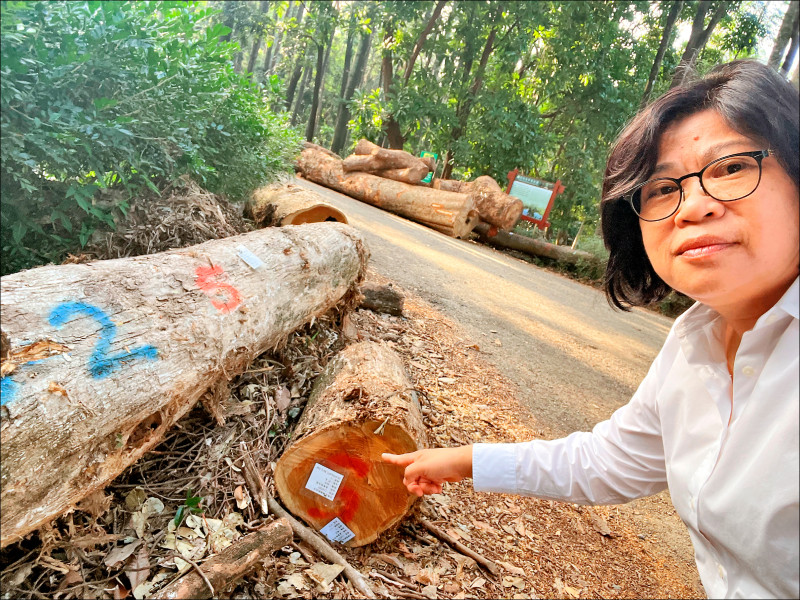百年「嘉義樹木園」風損 設施復原缺經費