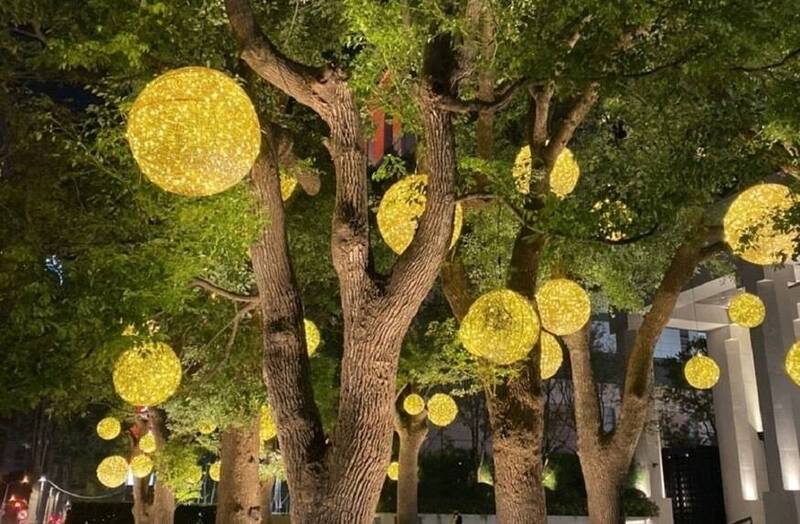一起點亮台中  12月起市府開放申請免費行道樹懸掛節慶燈飾