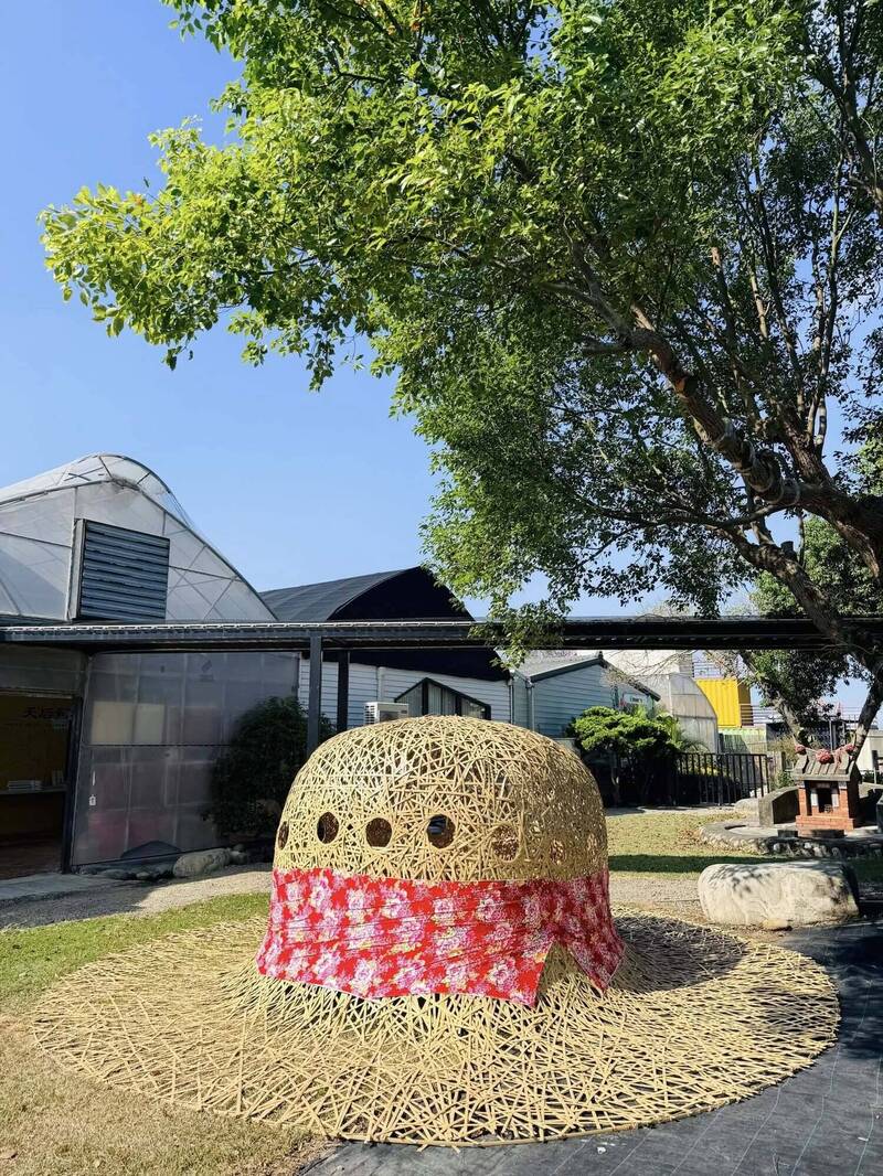 巨大藺草帽現身!稻田彩繪結合地景藝術 週末苗栗苑裡辦市集