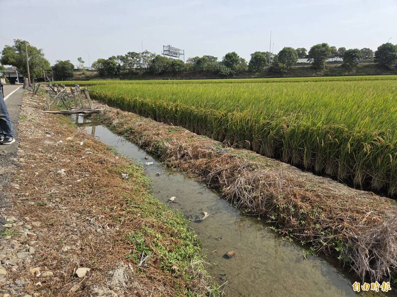嘉縣大林4農水路淤泥嚴重、雜草快比人高 立院考察要求儘速改善