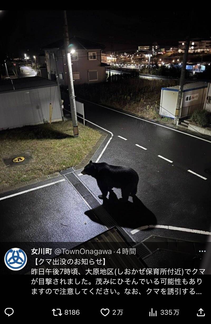 AI假熊! 日本宮城縣女川町公告目擊熊出沒 後澄清為AI製圖