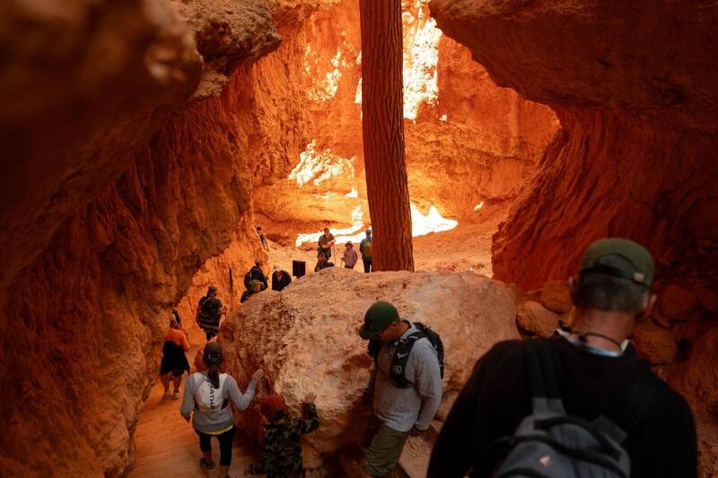 美國家公園落實「美國優先」外國遊客門票將漲3倍!1家4口要1萬4