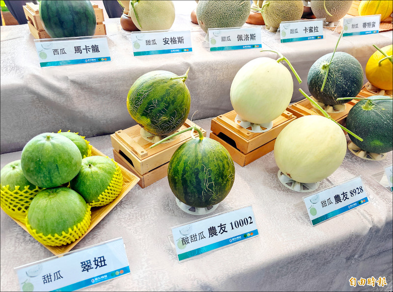 《週六台南登場》農畜聯合開放日 檸檬洋香瓜、甜味苦瓜亮相