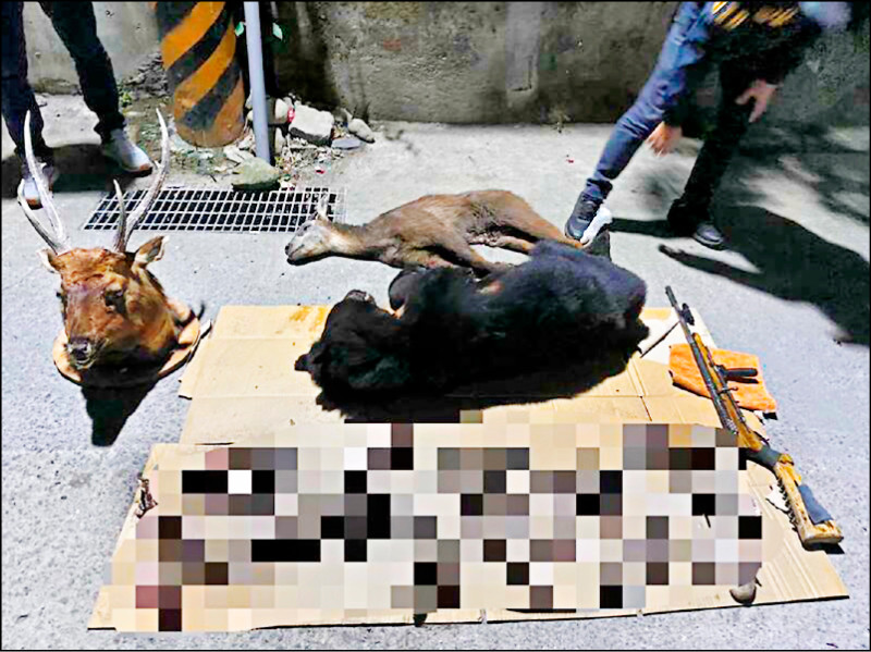 原民獵捕除罪化 獵殺4隻黑熊判無罪